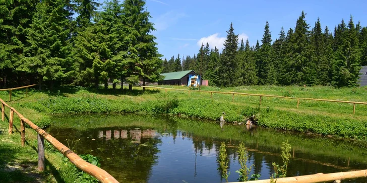 Letné tábory na Smrekovici pre deti od 6 do 15 rokov