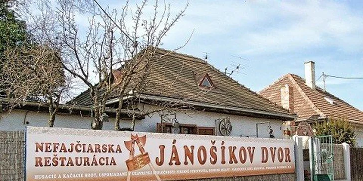 Domáci burger s hranolkami a cibuľovými krúžkami