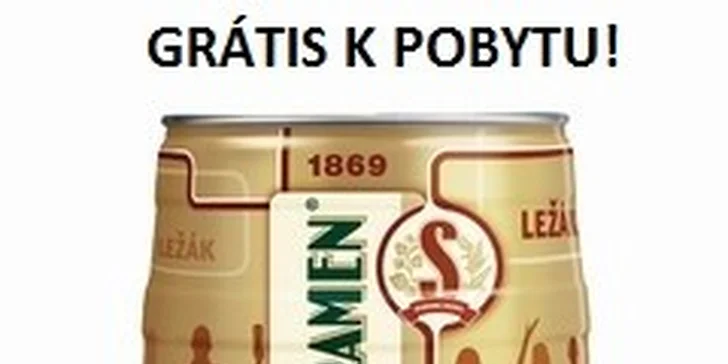 4 dňový rodinný Aquapark & Sport pobyt v Hoteli RELAX*** priamo na Slnečných jazerách Dvaja dospelý + 2 deti do 6 rokov alebo 1 dieťa do 12 rokov ubytovanie zadarmo