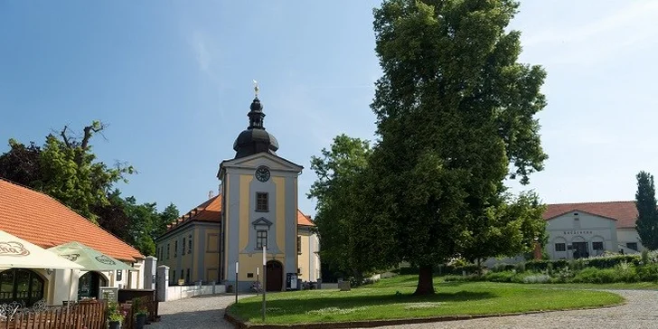 Zámocký hotel**** na okraji Prahy s pávmi a jazdiarňou