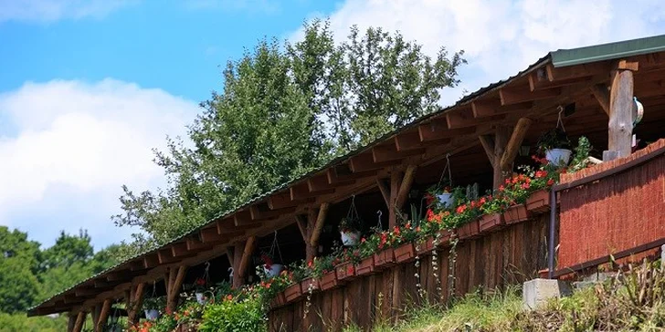 Chrumkavá pizza Na Sásovskej terase - na výber z 18 druhov