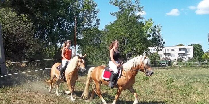 Kurz jazdenia na koni