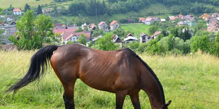 Oddych na Liptove až pre 6 osôb