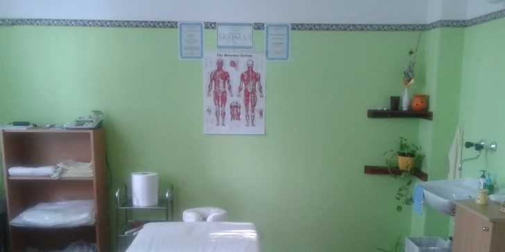 Medová detoxikačná masáž alebo kombinácia klasickej a medovej masáže