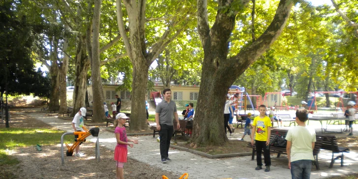 Detský letný tábor animovanej tvorby