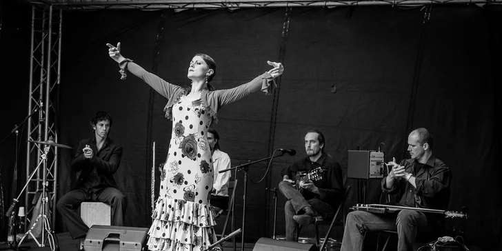 FLAMENCO KONCERT - PONTE PARDO