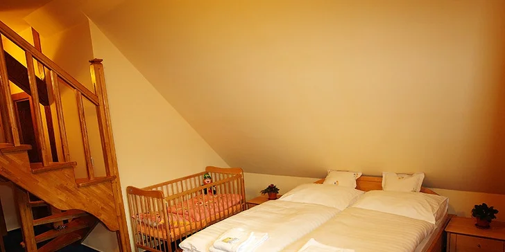 Rodinný pobyt s wellness a bazénom v Nízkych Tatrách + dieťa do 12 rokov ZDARMA
