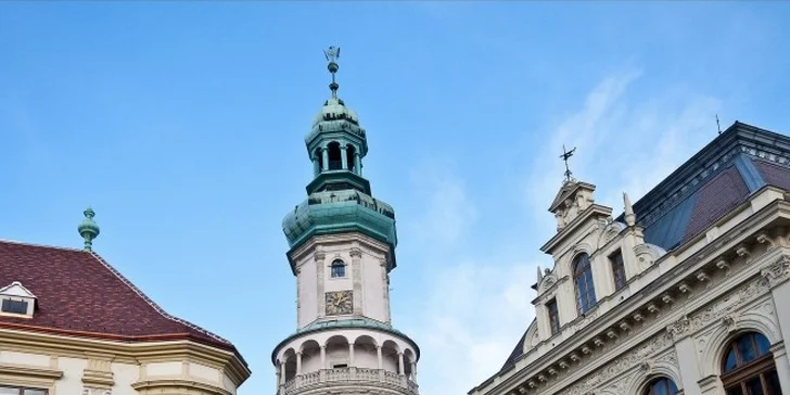Pobyt s neobmedzeným wellnessom v Šoproni