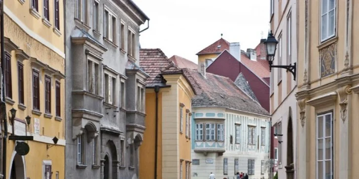 Pobyt s neobmedzeným wellnessom v Šoproni