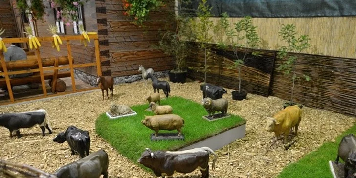 Vstup na výstavu AGROKOMPLEX 2014