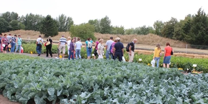 Vstup na výstavu AGROKOMPLEX 2014