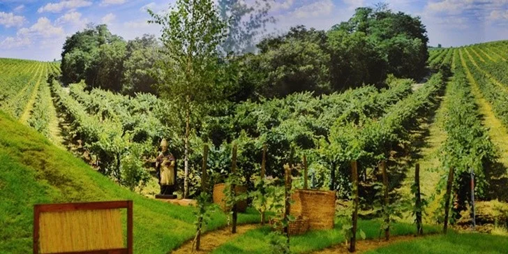 Vstup na výstavu AGROKOMPLEX 2014