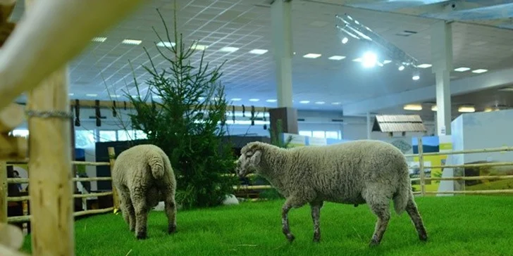 Vstup na výstavu AGROKOMPLEX 2014