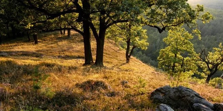 Romantika pre dvoch na južnej Morave, cykloturistika aj špičkové vína