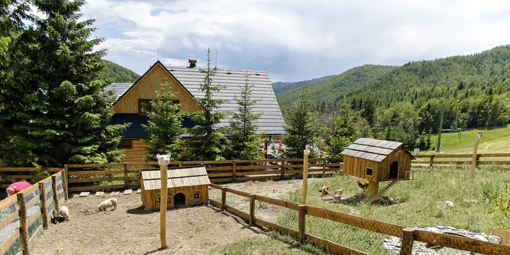 Letná rodinná dovolenka v novom apartmánovom zrubovom dome v Malej Fatre pod Kľakom. 2 deti do 12 rokov zadarmo