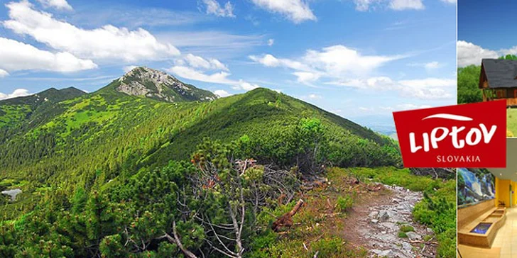 Prenájom chaty na 4 dni v MAGURA VILLAGE