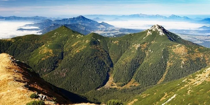Wellness pobyt v Hoteli ALTIS**** Oravská priehrada, deti do 12 rokov ZDARMA! Vstup do Aquaparku Meander park Oravice v cene pobytu!