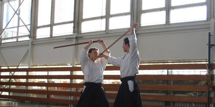 Mesačné či dvojmesačné tréningy bojového umenia aikidó