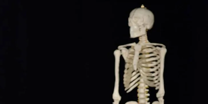 V pasci - divadelné predstavenie, ktoré musíte vidieť