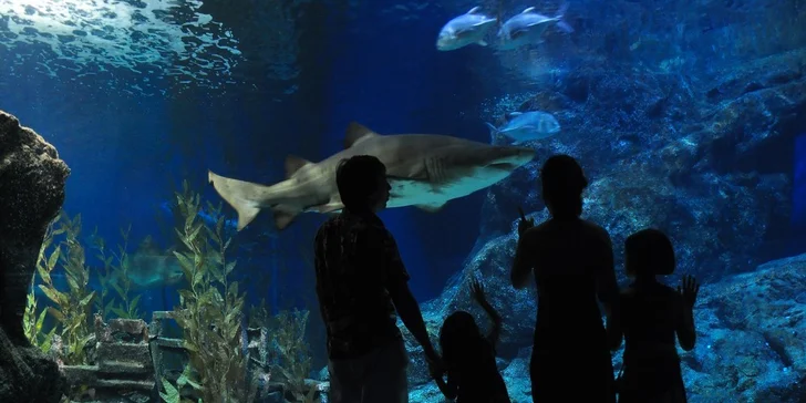 Historická Budapešť s návštevou Tropicaria alebo ZOO