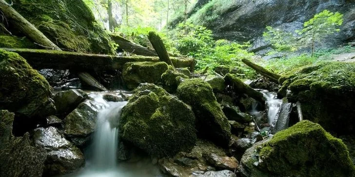 Zázrivá! To pravé miesto pre rodinnú pohodu