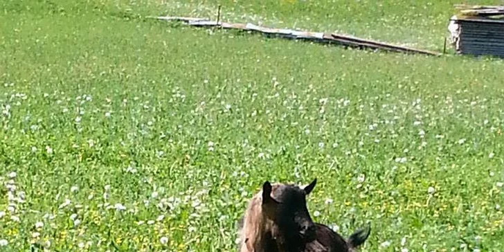 Zázrivá! To pravé miesto pre rodinnú pohodu