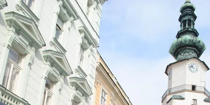 Vyprážaný syr s hranolčekmi a zeleninovou oblohou