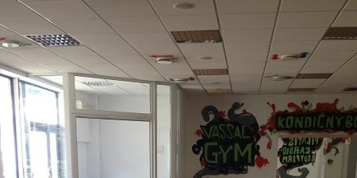 1 alebo 6 vstupov do moderne vybavenej posilňovne