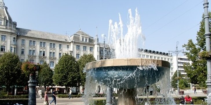 Wellness pobyt so vstupom do zážitkových kúpeľov Aqua-Palace v Maďarsku