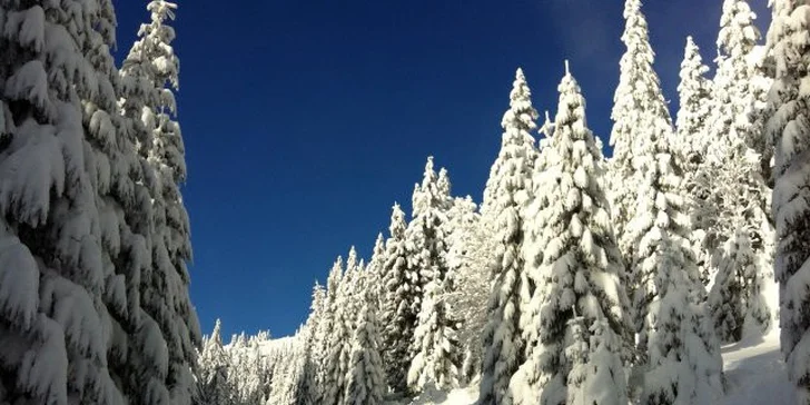 Celodenný skipas v lyžiarskom stredisku Winter Park Martinky