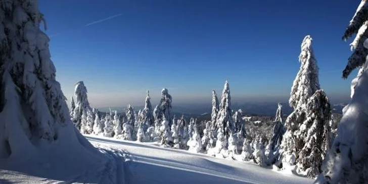 Ski & Wellness pobyt v novom horskom hoteli Čertov*** aj so skipasmi / Javorníky