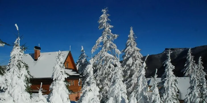 Celodenný skipas do lyžiarskeho strediska SKIARENA Fačkovské sedlo