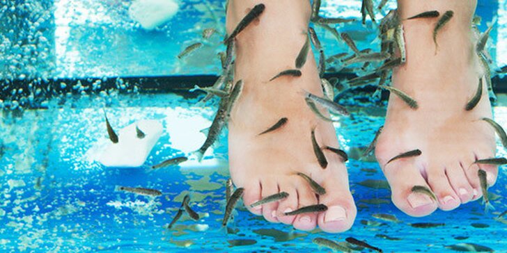 Prírodná pedikúra či relaxačno-regeneračný kúpeľ celého tela rybičkami GARRA RUFA + parafínový zábal nôh