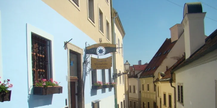 Výber zo 4 jedál v reštaurácii Hradná Hviezda a Modrá Hviezda