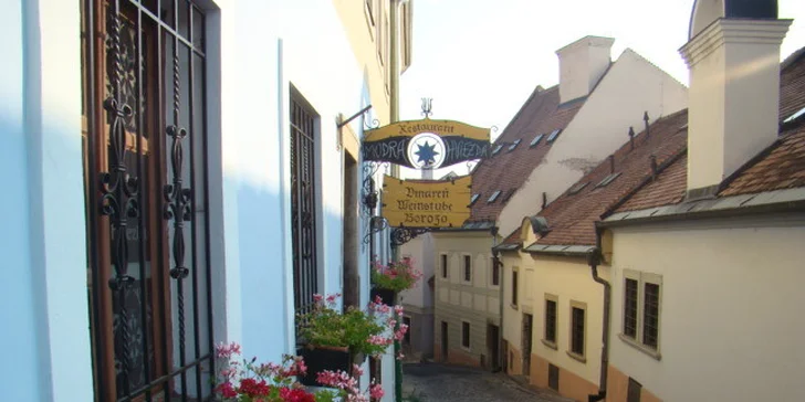 Výber zo 4 jedál v reštaurácii Hradná Hviezda a Modrá Hviezda