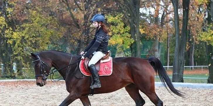 Pobyt v penzióne Motešice pre milovníkov koní, dieťa do 12 rokov zadarmo!