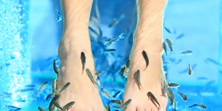 BIO pedikúra rybičkami Garra Rufa