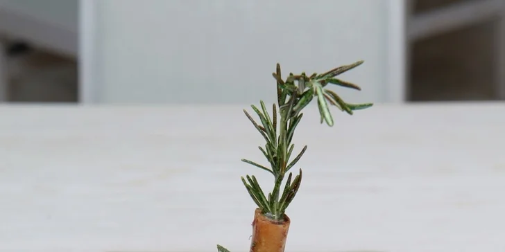 Ubytovanie s raňajkami v hoteli Slamený dom*** pre 1 alebo 2 osoby na 2 alebo 3 dni, 2 deti do 12 rokov zdarma