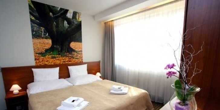 110 eur za 3-dňový relaxačný pobyt v srdci LIPTOVA v hoteli JÁNOŠÍK**** Kvalitný hotel v atraktívnom prostredí so zľavou 55%!