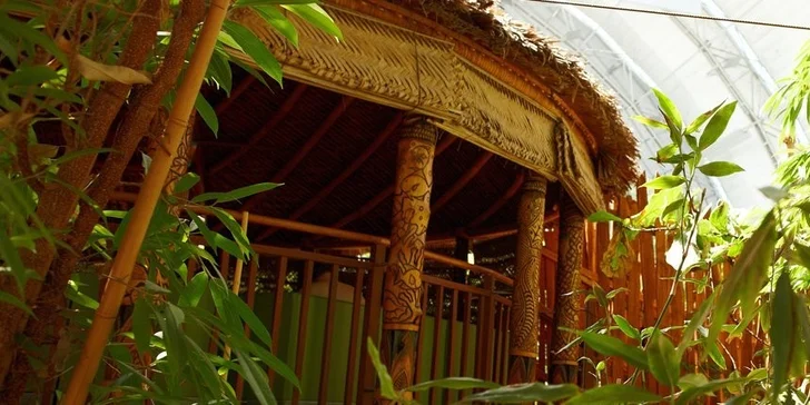 Celodenný zájazd do nemeckého aquaparku Tropical Islands
