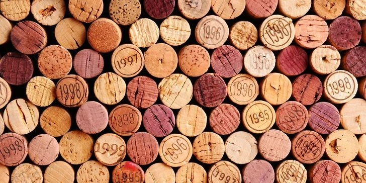 Degustácia 100 najlepších vín Slovenska pod klenbami Citadela Wine & Art Gallery a Národného Salónu Vín SR!