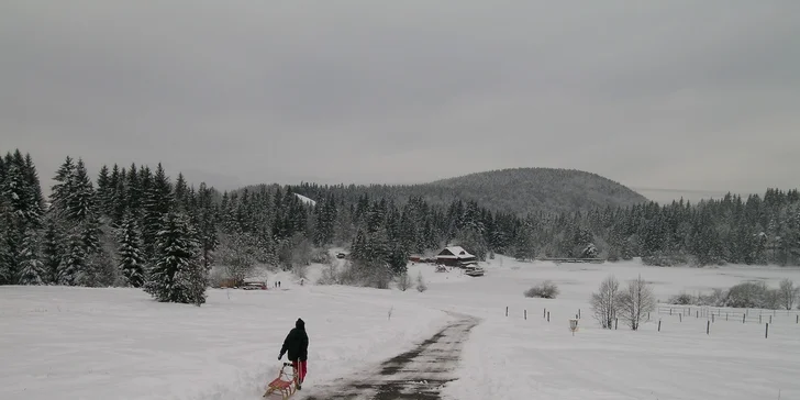 Lyžovačka v Nízkych Tatrách a relax na Chate pri potoku Krpáčovo. Deti do 7 rokov ZDARMA a domáci štvornohý miláčik tiež:)