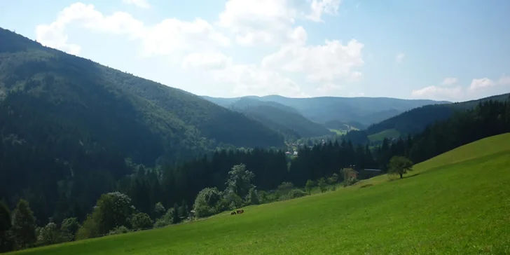 Wellness počas celého leta v Horskom hoteli Excelsior***