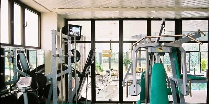 Celodenný vstup alebo permanentka na 5 vstupov do wellness centra hotela Holiday Inn v Bratislave