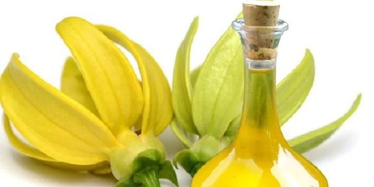 60-minútová masáž celého tela s BIO prírodnými olejmi