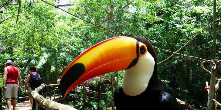 Letecký zájazd do Brazílie s vodopádmi Iguacu