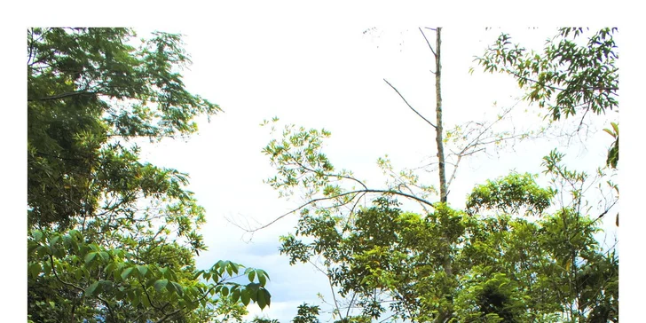 Letecký zájazd do Brazílie s vodopádmi Iguacu
