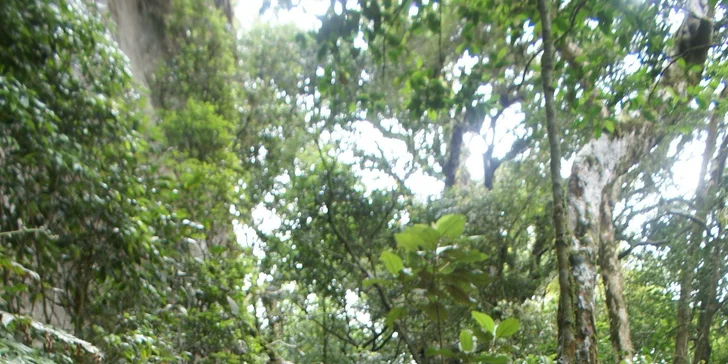 Letecký zájazd do Brazílie s vodopádmi Iguacu