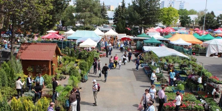 Výstava Gardenia Domexpo Solaris Nitra 2015