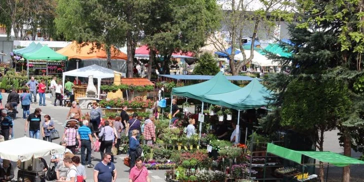 Výstava Gardenia Domexpo Solaris Nitra 2015